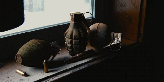 В Великих Луках обезврежены три гранаты - 2021-02-01 17:21:00 - 1