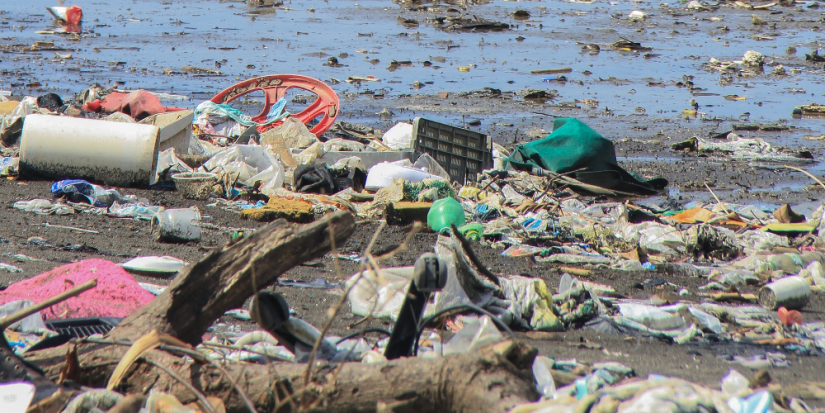 Россияне считают мусор главной угрозой миру - 2023-03-26 11:00:00 - 1