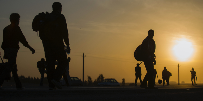 Около половины политиков-добровольцев вернулись с СВО - 2023-05-05 18:05:00 - 1
