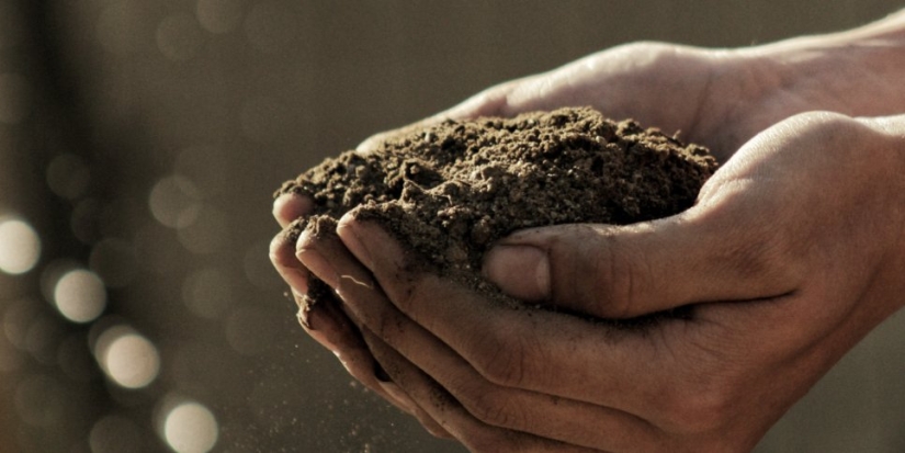 Минсельхоз готовится к изменениям мелиоративного комплекса - 2021-08-28 14:00:00 - 1