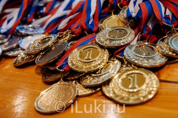 Великолучане завоевали две золотых медали на Чемпионате СЗФО по боевому самбо - 2018-12-07 12:59:00 - 1