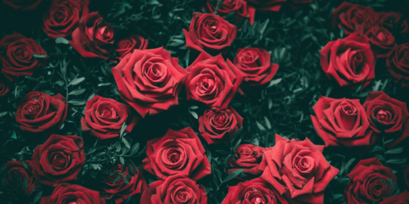 8 марта - Международный женский день. История праздника - 2021-03-08 12:00:00 - 1