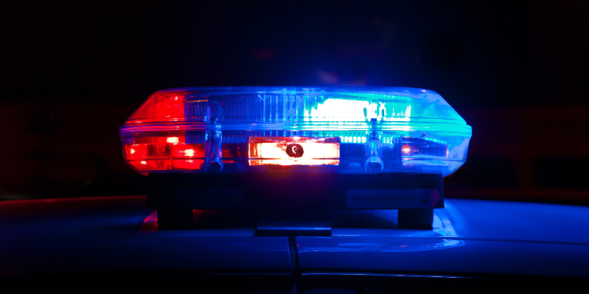 В ходе спецмероприятия в Псковской области найдено трое пропавших без вести - 2023-03-20 10:05:00 - 1