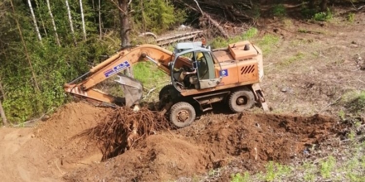 На средства нацпроекта обновляют более 9 км трассы Остров – Новоржев - 2021-08-11 09:13:00 - 1