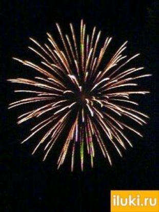 26 декабря в Великих Луках состоится праздник, посвященный открытию главной городской ёлки - 2018-11-20 17:21:00 - 1