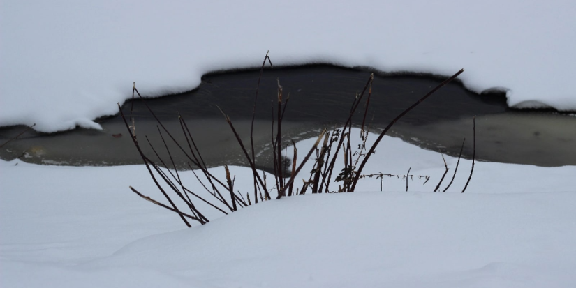 Псковская область подготовилась к паводкам - 2023-03-15 08:35:00 - 1