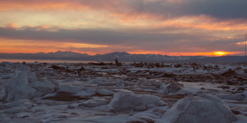 Поронайскому заповеднику – 35 лет - 2023-04-02 11:00:00 - 1