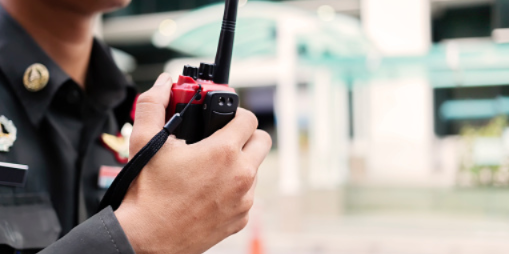 Пскович обвиняется в применении насилия в отношении полицейского - 2021-02-11 16:00:00 - 1