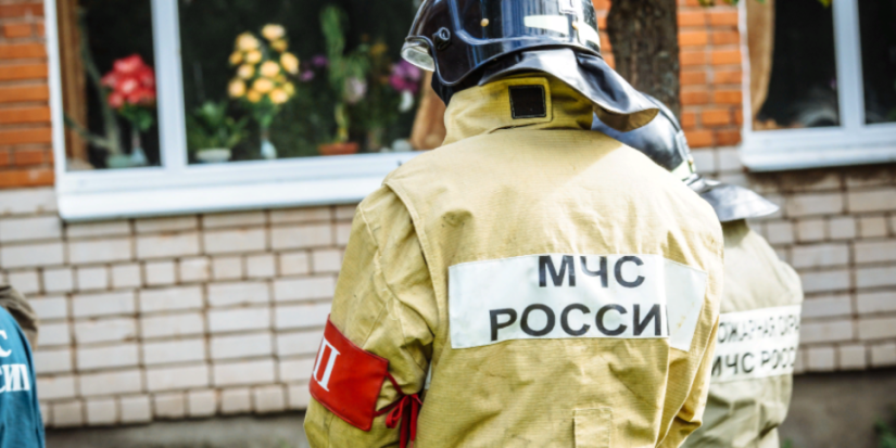 В Псковском районе обезвредили 18 снарядов и гранату - 2021-06-24 13:15:00 - 1