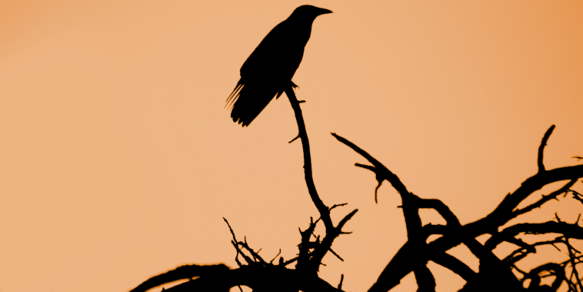 Мужчин в России ждет внезапная смерть - 2023-03-26 20:00:00 - 1