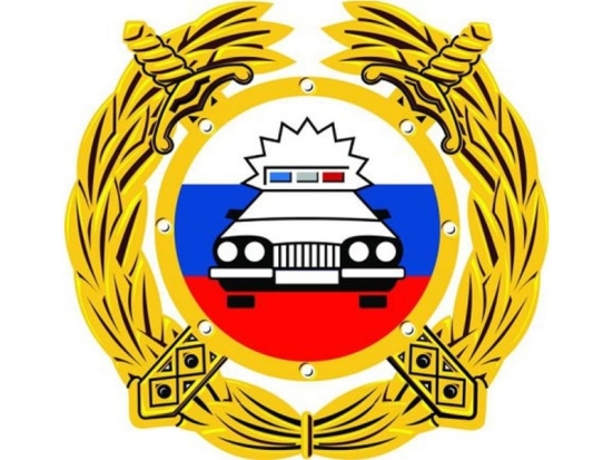 ГИБДД Великих Лук информирует граждан о приеме, обратившихся через госуслуги - 2018-11-14 17:37:00 - 1