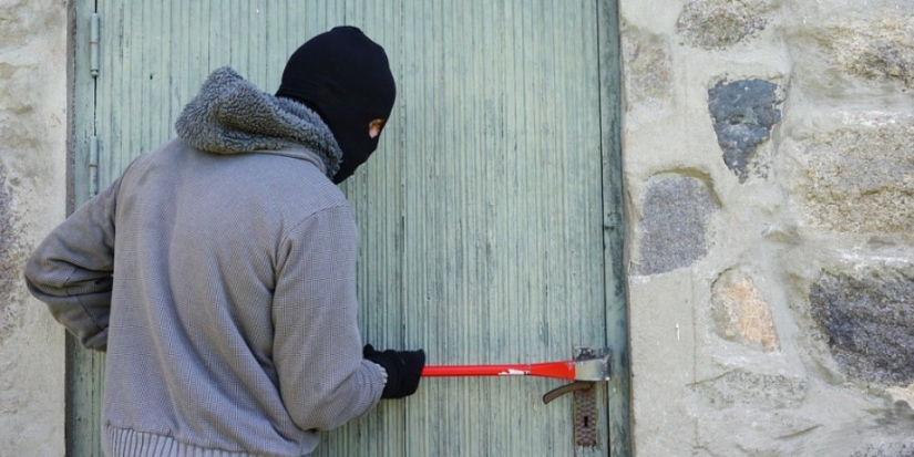 Двое великолучан обокрали сельхозорганизацию в Новосокольническом районе - 2021-07-09 11:36:00 - 1