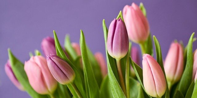 Пресс-секретарь президента Дмитрий Песков поздравил женщин с 8 Марта - 2021-03-08 19:00:00 - 1