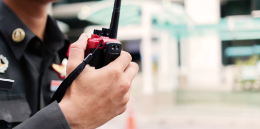 Очередные факты нарушения миграционного законодательства выявлены в области - 2021-03-24 11:36:00 - 1