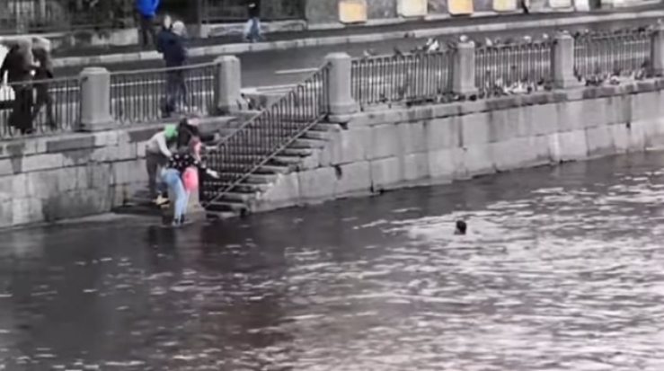 Двое петербуржцев нырнули в Фонтанку для спасения собачки Булочки (видео) - 2018-10-31 15:58:00 - 1