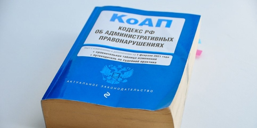 Мужчину в Дедовичах оштрафовали за оскорбление полицейских - 2022-11-10 11:05:00 - 1