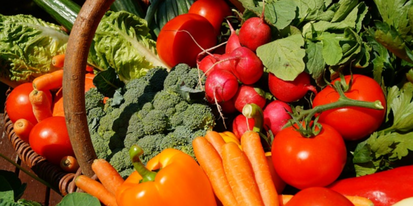 В Пскове 20 апреля пройдет конференция по сельскому и аграрному туризму - 2023-04-09 18:05:00 - 1