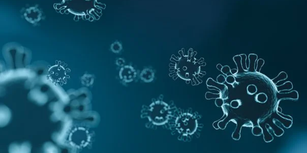 Новый очаг коронавируса выявили в Великих Луках - 2021-03-02 11:07:00 - 1