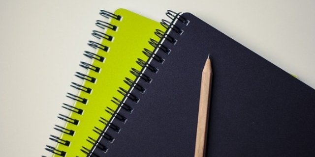 Исполняющей обязанности главы администрации Великих Лук стала Светлана Степанова - 2021-06-09 12:11:10 - 1