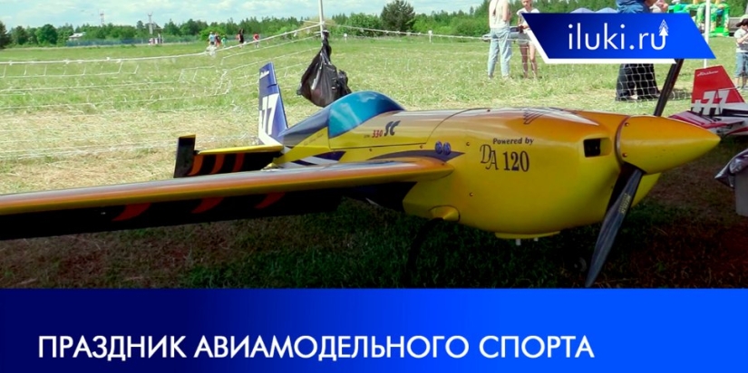 В Великих Луках прошел праздник авиамодельного спорта - 2021-06-09 19:00:00 - 1