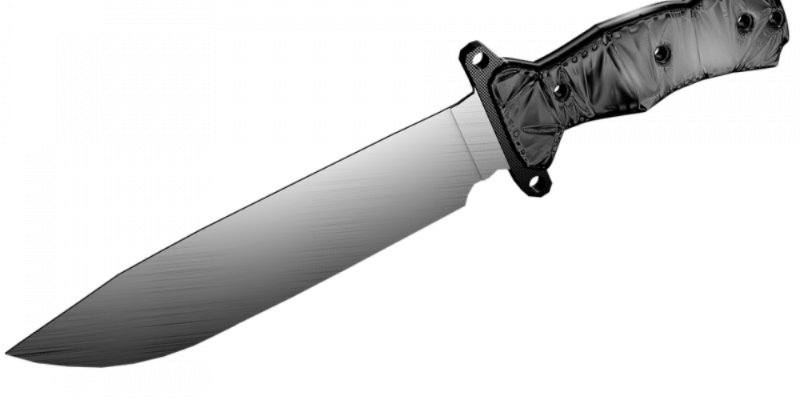 Великолучанин получил ножевое ранение в ходе застолья - 2021-03-01 13:12:00 - 1