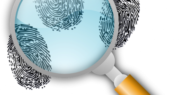 В Великих Луках по «горячим следам» раскрыта кража - 2021-02-04 11:43:00 - 1