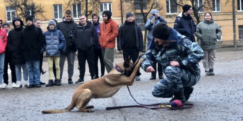 Эстафету акции «Студенческий десант» приняли в Великих Луках - 2023-01-20 09:35:00 - 1