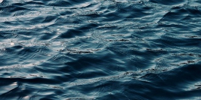 Три человека утонули в Псковской области в выходные - 2021-06-21 14:08:00 - 1