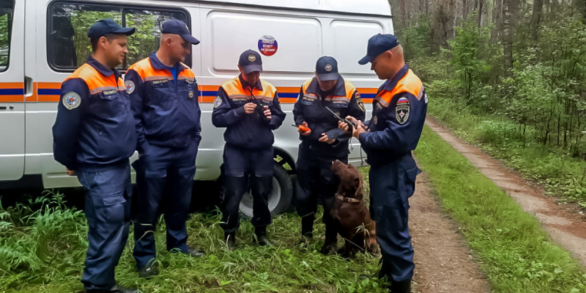 Спасатели нашли заблудившуюся семейную пару в Палкинском районе - 2023-08-03 16:05:00 - 1