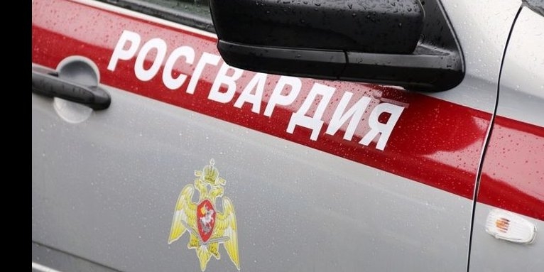 За неделю росгвардейцы изъяли у жителей региона 5 единиц оружия - 2022-06-14 19:05:00 - 1
