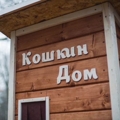 В петербургском дворе появился «Кошкин дом» - 2018-11-19 16:03:00 - 1