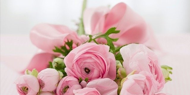 Работников лёгкой промышленности поздравил Александр Котов - 2021-06-13 20:00:00 - 1