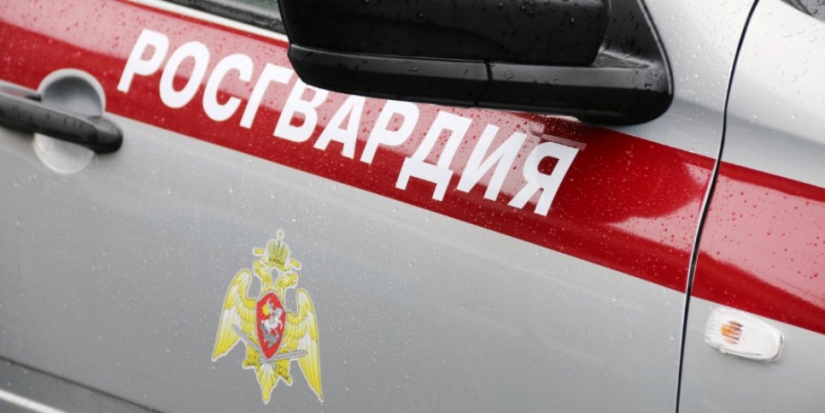 Пскович пытался украсть в магазине кроссовки - 2022-05-20 12:35:00 - 1
