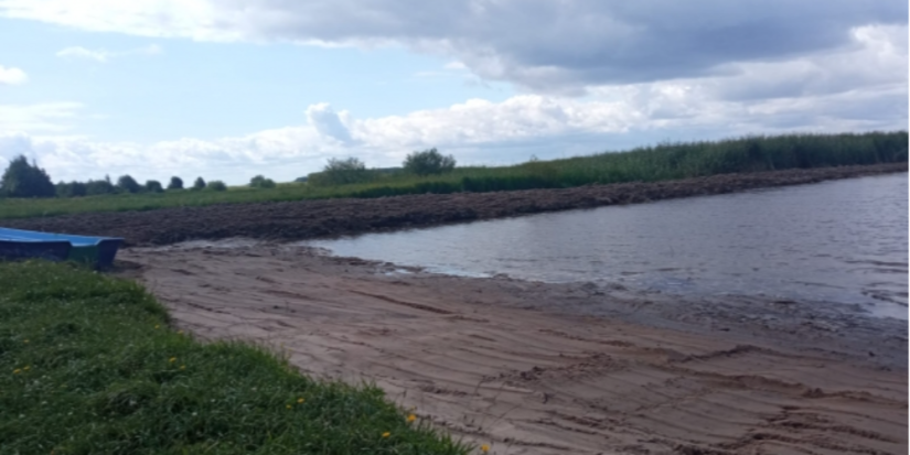 Ведутся работы по расчистке участков Чудско-Псковского озера - 2023-08-03 14:35:00 - 1