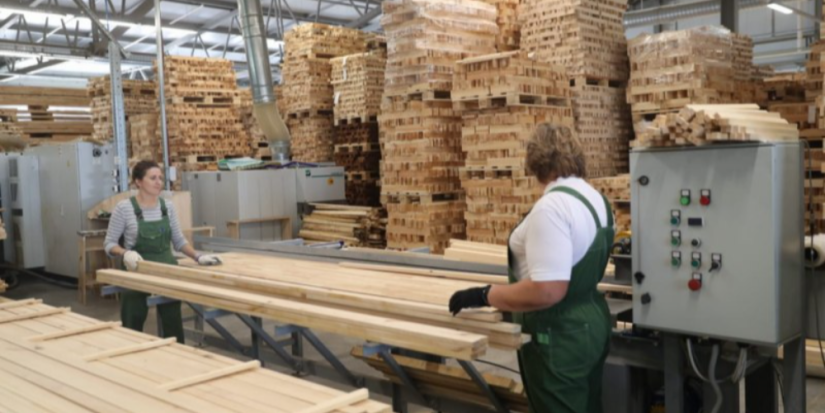 Губернатор посетил экспортный лесозавод «Судома» в Дедовическом районе - 2023-07-13 11:35:00 - 1