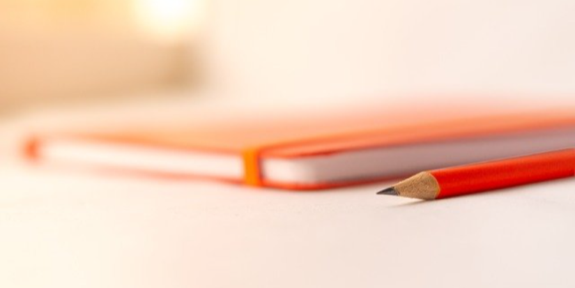 В Псковской области введена стипендия для студентов - целевиков - 2023-08-16 20:05:00 - 1