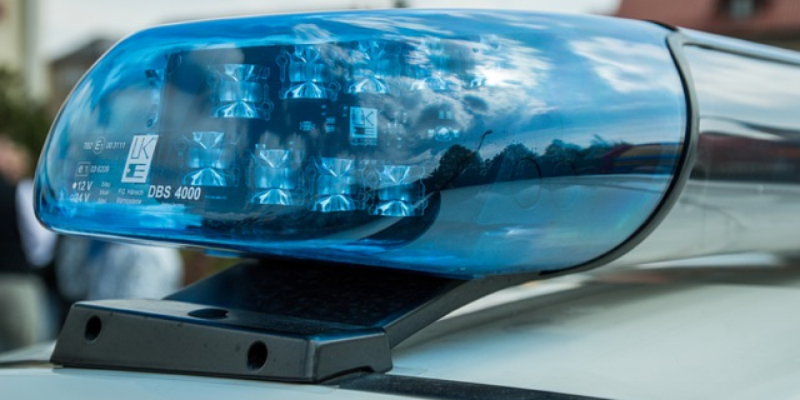 В Пскове проверяют сообщение о минировании школы - 2021-03-16 12:07:00 - 1