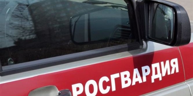 За год у жителей Псковской области изъято 579 единиц оружия - 2022-12-30 14:05:00 - 1