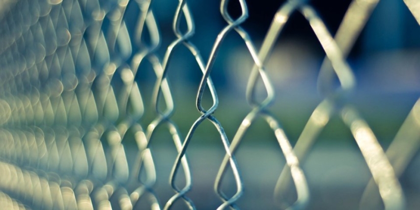 Житель Псковской области обвиняется в совершении более ста наркопреступлений - 2021-06-16 08:43:00 - 1