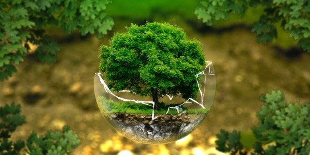 Бизнес получил разъяснения по расширенной ответственности производителей - 2021-08-28 17:00:00 - 1