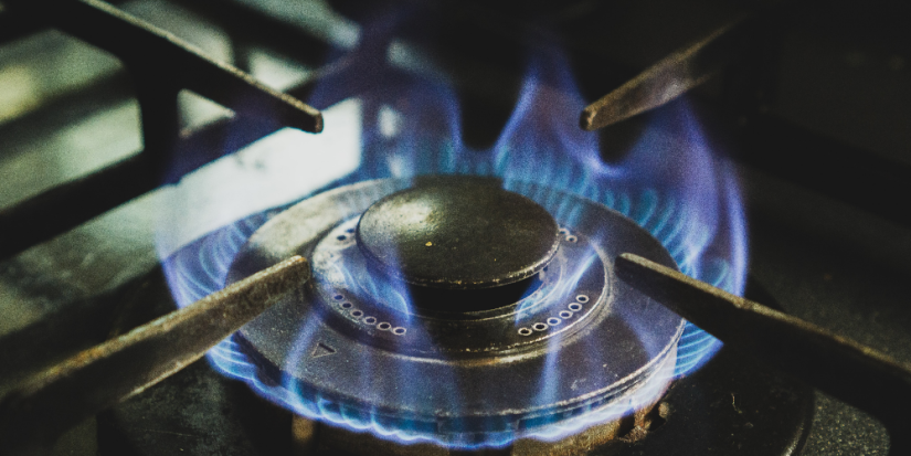 Принят закон о безопасности газового оборудования - 2023-03-05 14:05:00 - 1