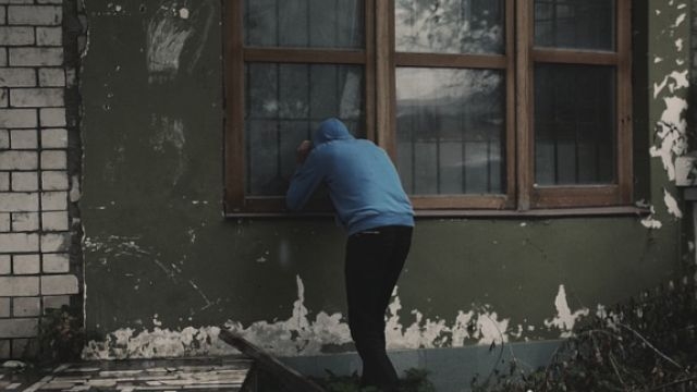 Несколько краж раскрыто на территории Псковской области - 2021-04-28 12:13:00 - 1