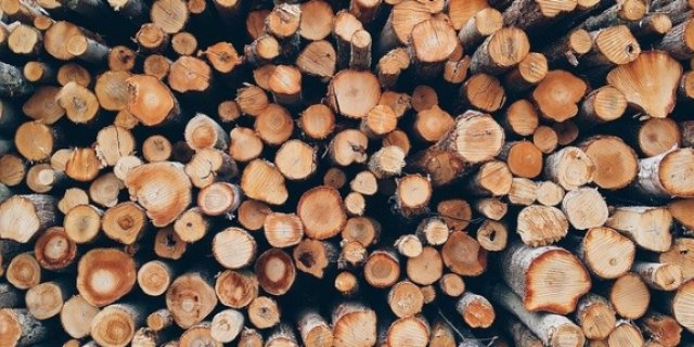 В Псковском районе открылся завод по лесопереработке - 2021-06-10 15:13:00 - 1