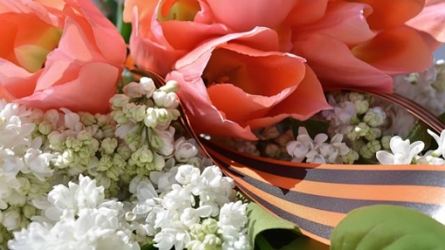 Международная акция «Читаем детям о войне» стартует в Псковской области - 2021-05-06 13:00:00 - 1