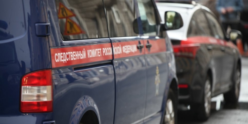 В Псковском районе возбуждено уголовное дело по факту убийства мужчины - 2022-08-04 08:35:00 - 1