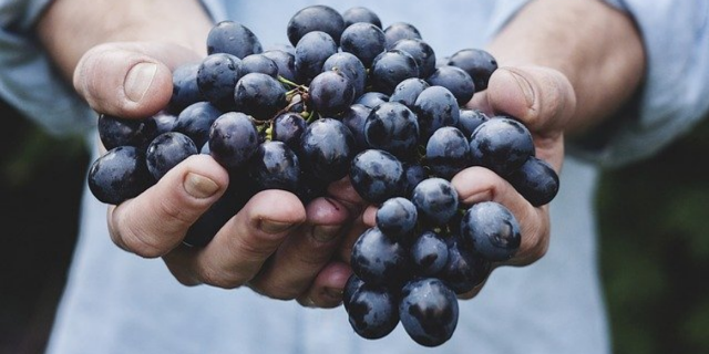 Путин рассказал, чем займется, когда оставит пост Президента - 2021-01-26 12:15:00 - 1