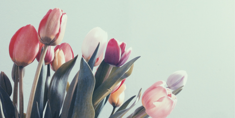 С 8 марта семьи участников СВО поздравят единороссы - 2023-03-03 19:05:00 - 1