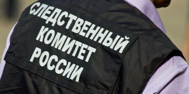 В Пскове следователи устанавливают личность напавшего на ребенка - 2023-01-09 15:05:00 - 1