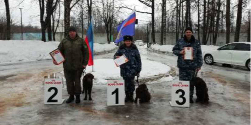 В Пскове прошли соревнования кинологов - 2023-03-16 09:35:00 - 1