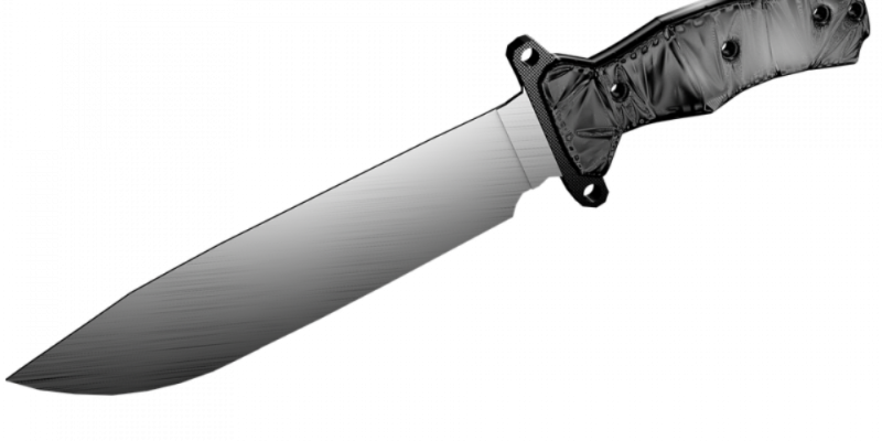 В Островском районе женщина задержана по подозрению в убийстве знакомого - 2021-01-27 14:13:00 - 1